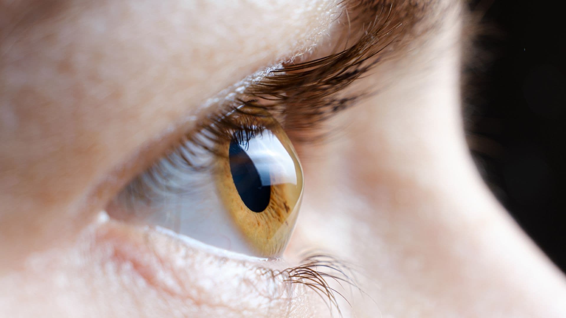 New Study Suggests Possible Link Between Wegovy and Rare 'Eye Stroke' Risk