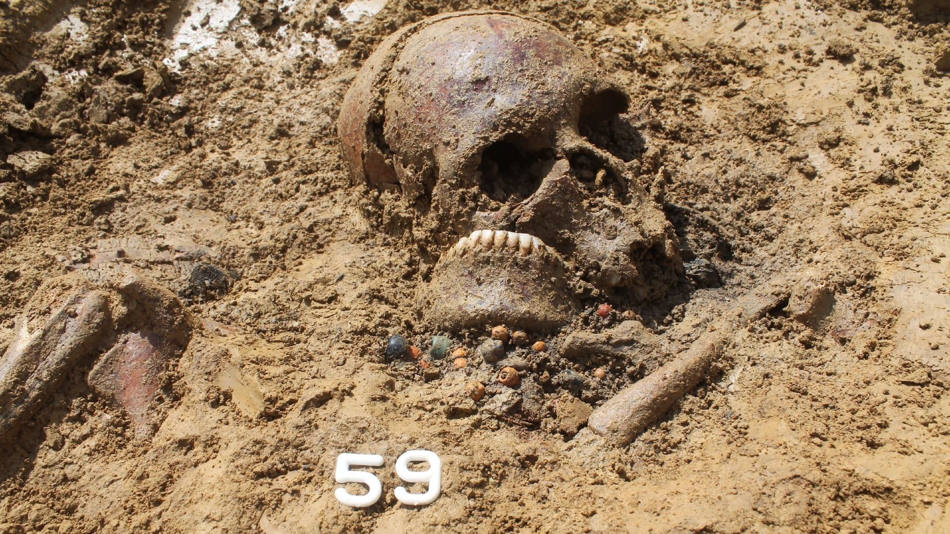 DNA Unveils Surprising Insights into Life on the Roman Frontier After Empire's Fall