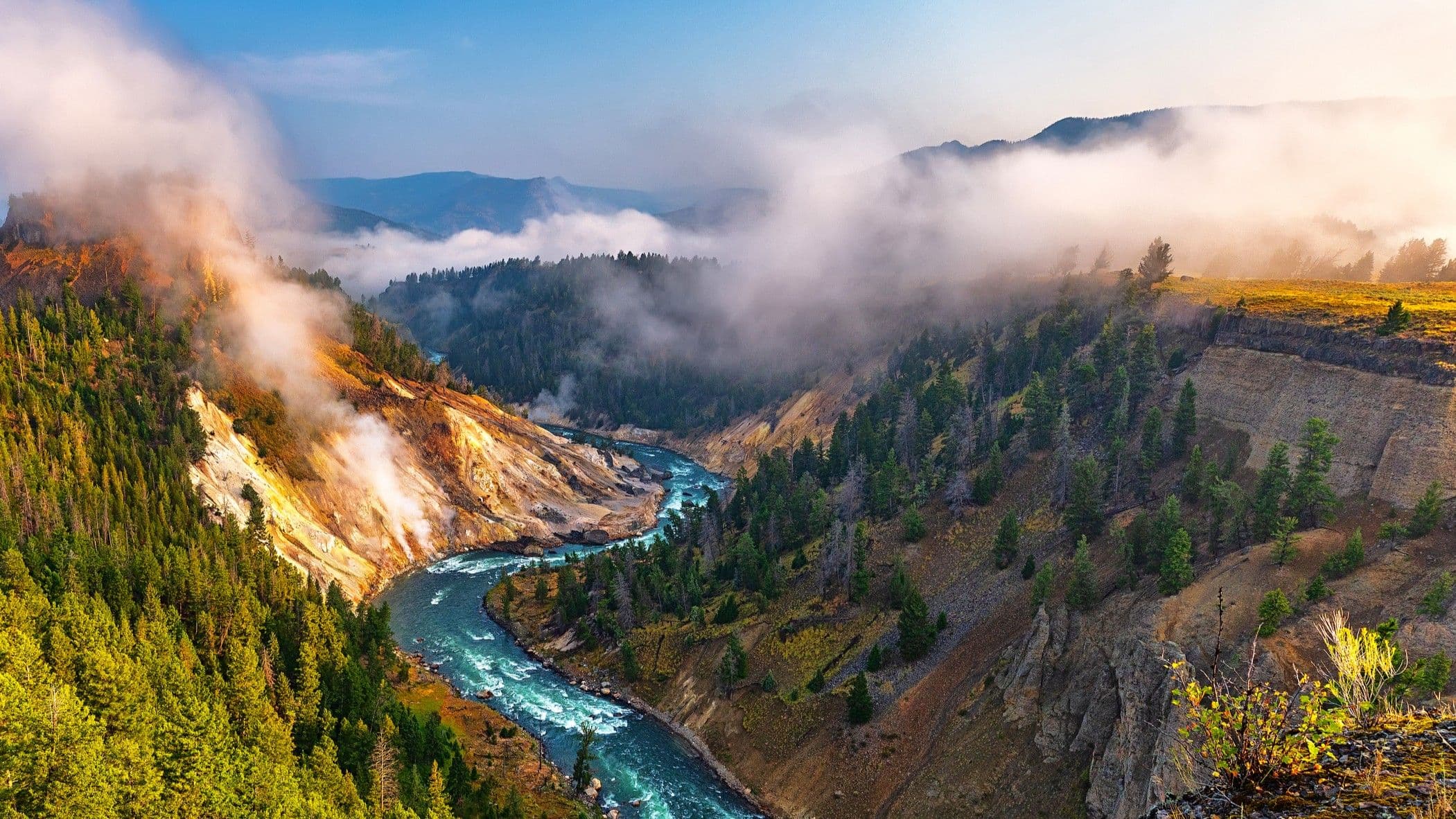 How Positive Tipping Points Can Revive Earth's Ecosystems, According to Scientist Tim Lenton