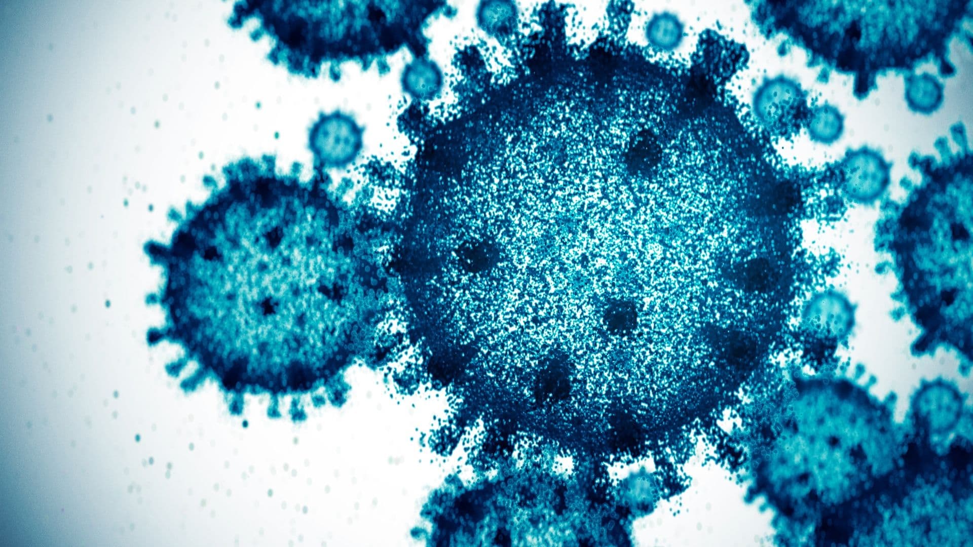 Unraveling the Complex World of Viruses, Infections, and Diseases: Latest Insights and Breakthroughs