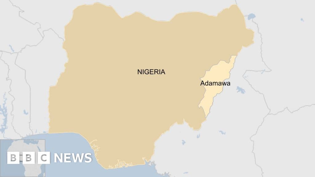IS Claims Deadly Attack in Nigeria’s Adamawa State, Killing 29