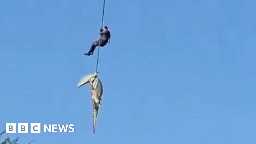 Daring Helicopter Rescue Recovers Human Remains from Crocodile-Infested River in South Africa