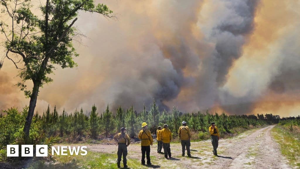 Georgia Battles Devastating Wildfires as State of Emergency Declared