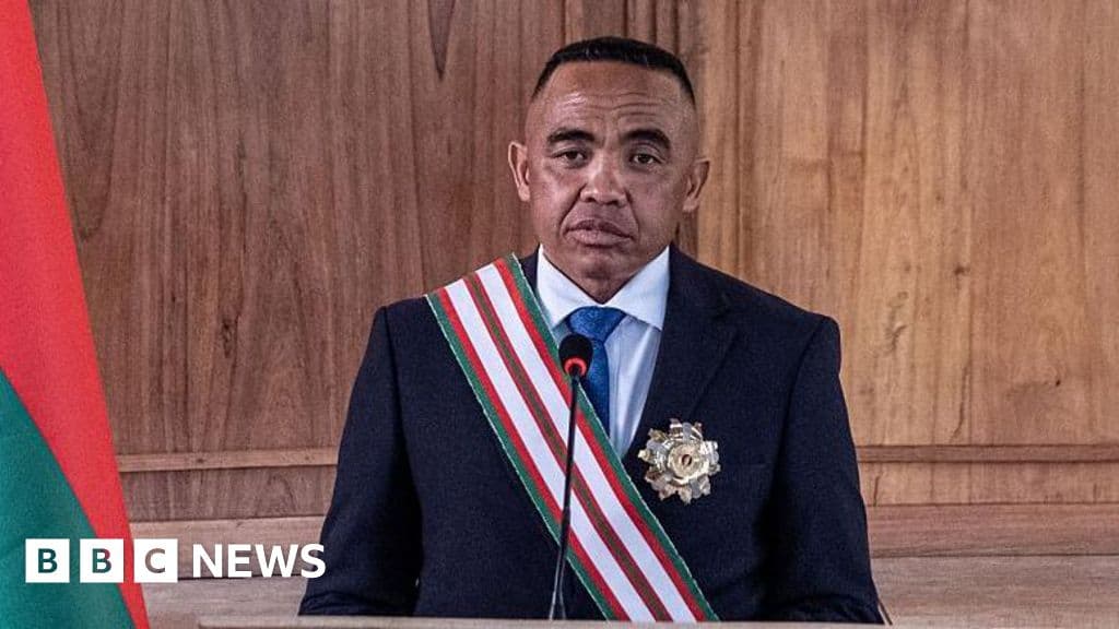 French Ex-Serviceman Detained in Madagascar Over Alleged Coup Plot