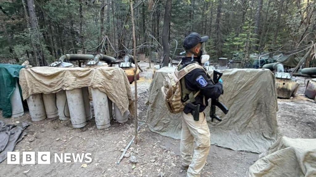 Mexico Reveals US Agents Killed in Crash Were Operating Without Authorization