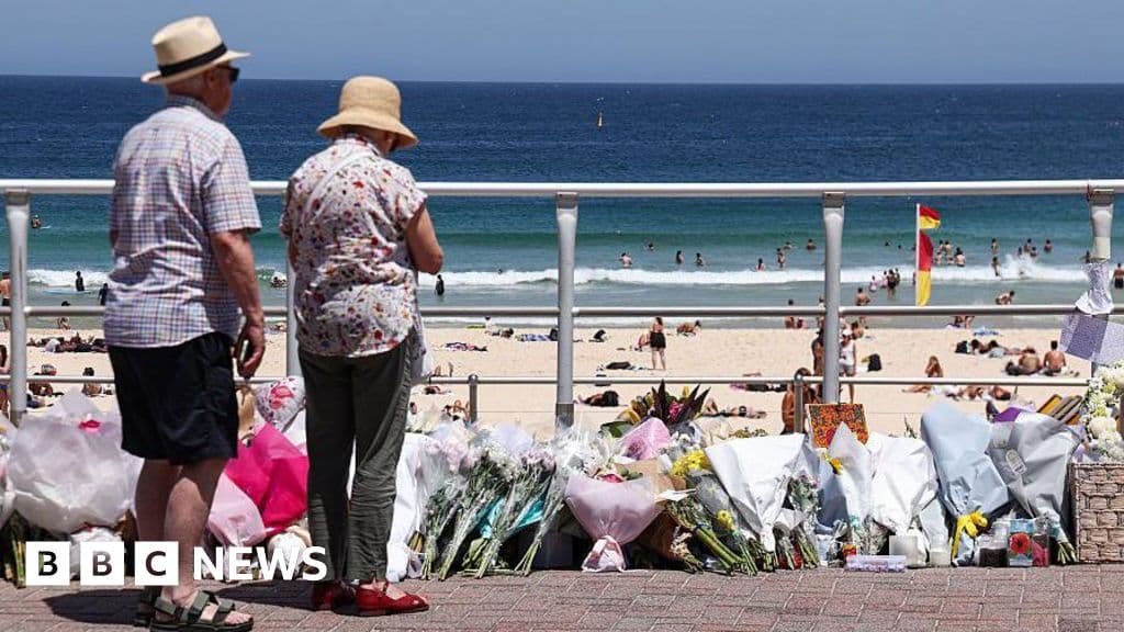 Jewish Security Warned of High Threat Before Bondi Beach Shooting, Royal Commission Reveals