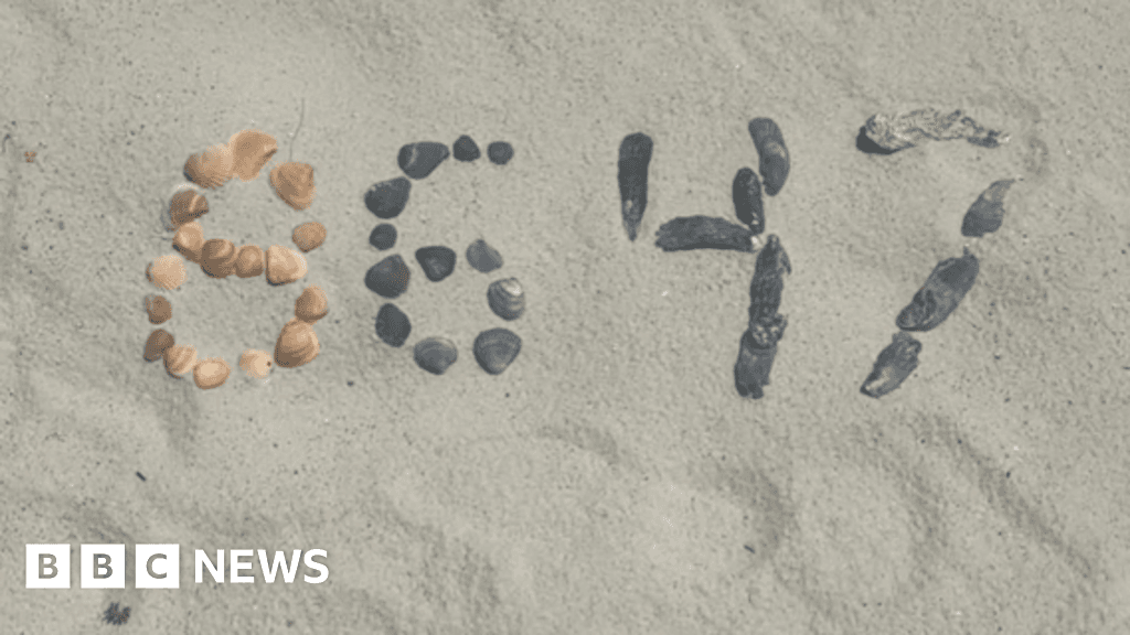 James Comey Indicted Over Cryptic '86' Seashell Post Alleged to Threaten Trump