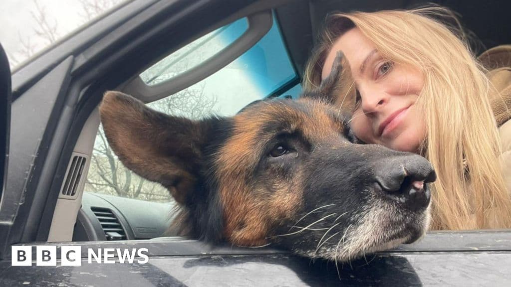 Rescatistas de animales en Ucrania enfrentan críticas mientras salvan miles de mascotas en zona de guerra