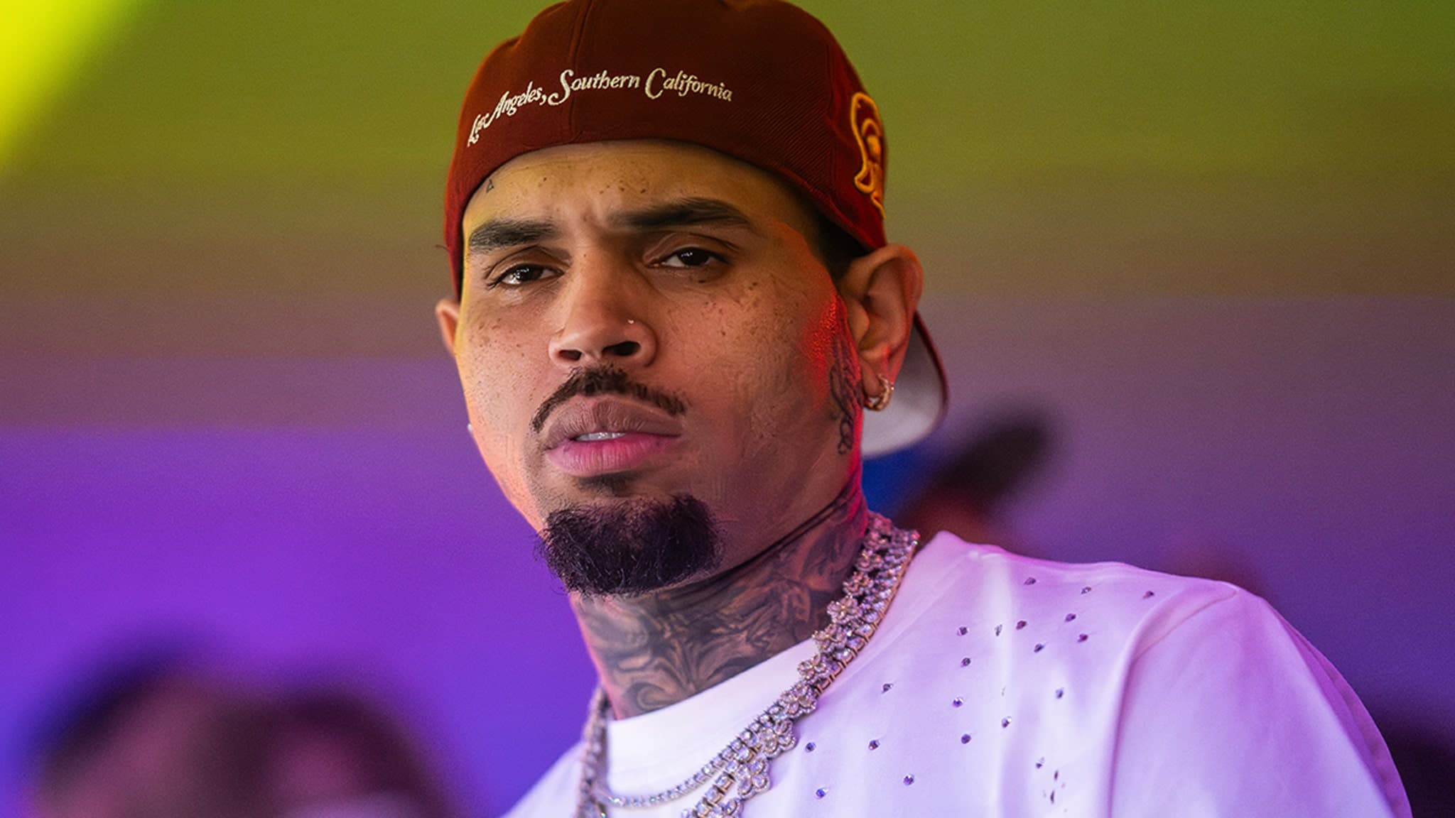 Chris Brown’s Ex-Housekeeper Battles to Reveal Shocking Dog Attack Photos in $90M Lawsuit
